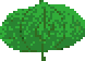 Biggest Leaf